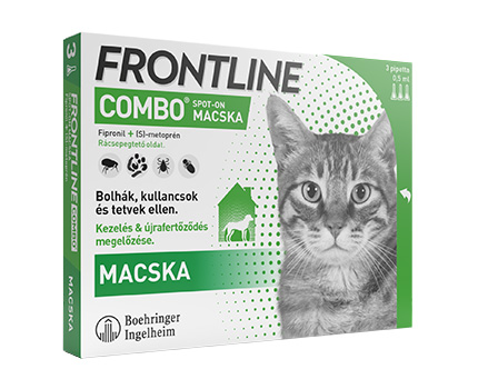 Frontline Combo cat
